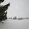 la grande nevicata del febbraio 2012 036